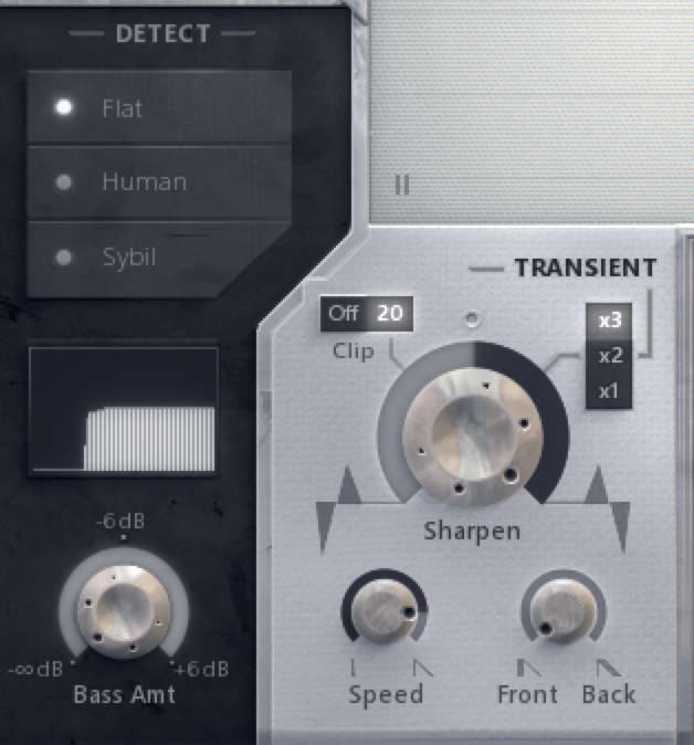 Transient Section