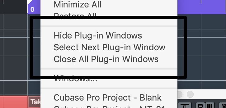 Plugin window menu options